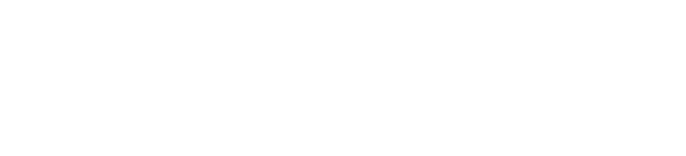 Scientific Commission
President: Divanildo Outor Monteiro
António Simões Monteiro
Jaime Piçarra
João Bastos
Luís Dias
Pedro López