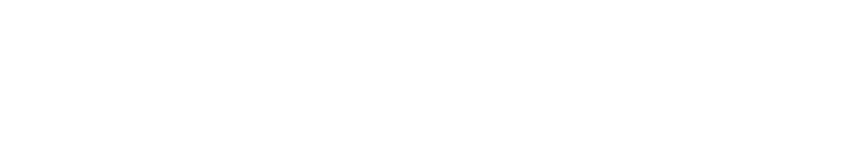 Scientific Commission
President: Divanildo Outor Monteiro
António Simões Monteiro
Jaime Piçarra
João Bastos
Luís Dias
Pedro López
